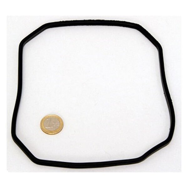 Jbl E1500 - E1501 Contası | Akvaryum Filtre Malzemesi