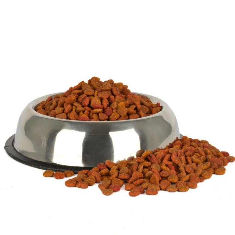 Jungle 15 Kg Colormix Tavuklu | Yetişkin Kuru Kedi Maması