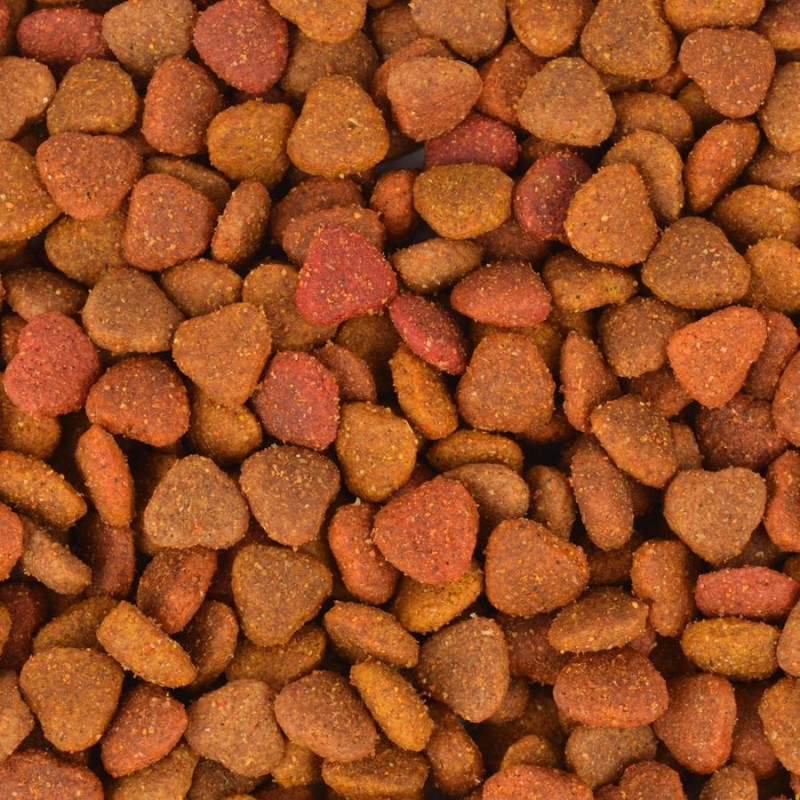 Jungle 15 Kg Colormix Tavuklu | Yetişkin Kuru Kedi Maması