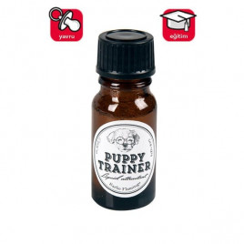 10 Ml Çiş Eğitim Damlası | Köpek Çiş Eğitim Damlası 10 Ml Çiş Eğitim Damlası | Köpek Çiş Eğitim Damlası