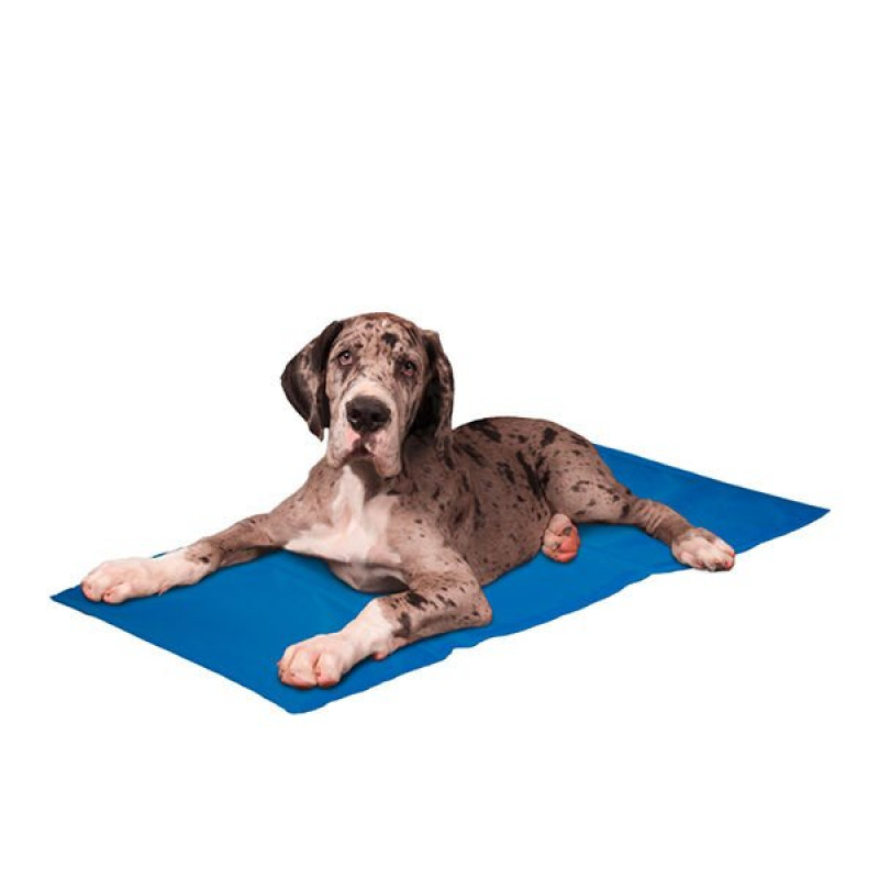 Karlie 100X60 Cm Soğutucu Yatak Xlarge Mavi | Köpek Serilnetici Yatak Karlie 100X60 Cm Soğutucu Yatak Xlarge Mavi | Köpek Serilnetici Yatak