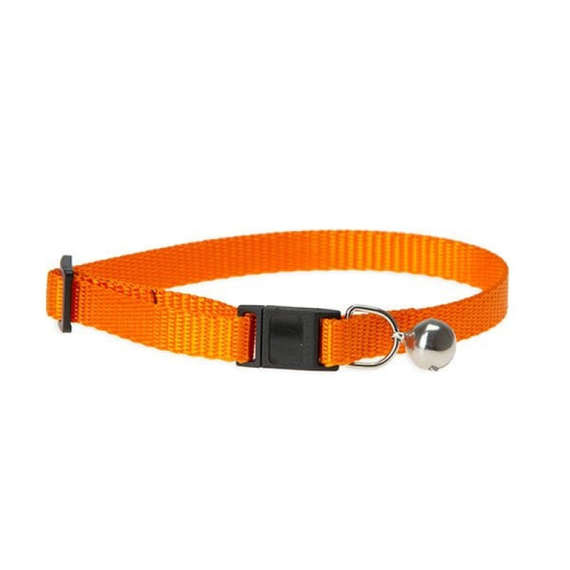 Karlie 30 Cm 10 Mm Boyun Turuncu | Kedi Boyun Tasması Karlie 30 Cm 10 Mm Boyun Turuncu | Kedi Boyun Tasması