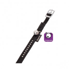 30 Cm 11 Mm Deri Taşlı Boyun Xsmall Siyah | Kedi Boyun Tasması 30 Cm 11 Mm Deri Taşlı Boyun Xsmall Siyah | Kedi Boyun Tasması