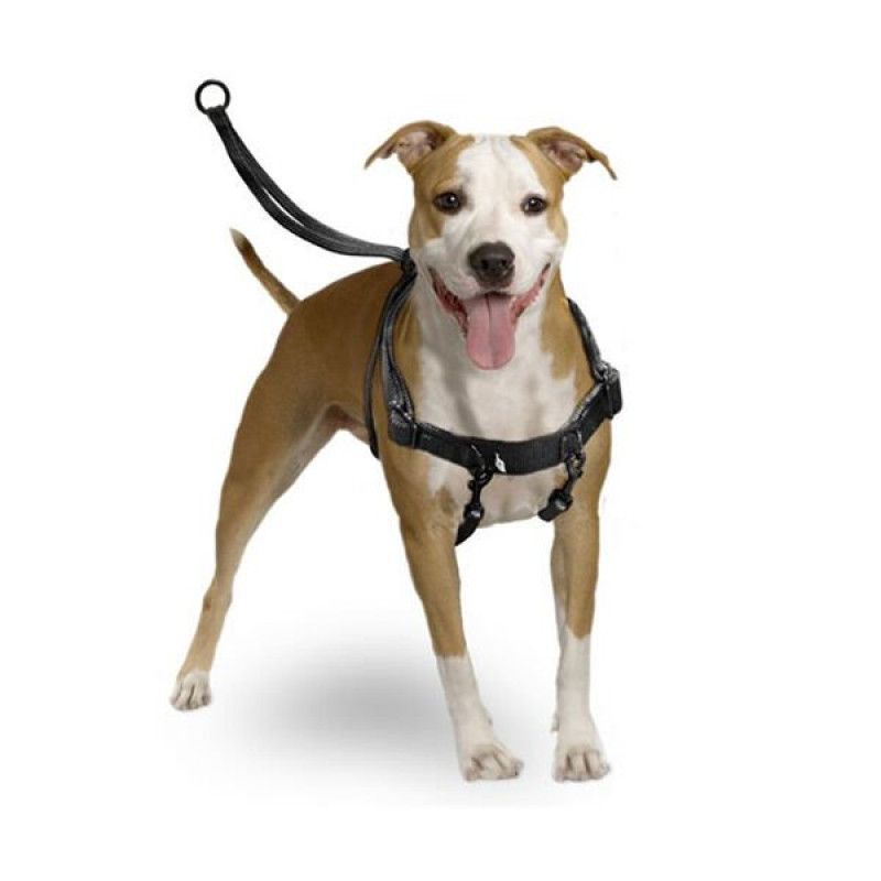 Karlie 31X39 Cm Easy Walker Göğüs Medium | Köpek Göğüs Tasması Karlie 31X39 Cm Easy Walker Göğüs Medium | Köpek Göğüs Tasması