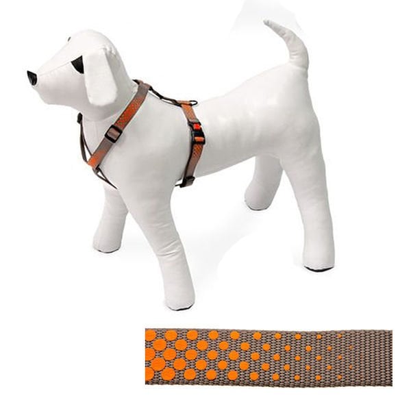Karlie 35-50 Cm Göğüs Small Turuncu | Köpek Göğüs Tasması