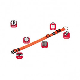 40-55 Cm Boyun Turuncu Large | Köpek Boyun Tasması 40-55 Cm Boyun Turuncu Large | Köpek Boyun Tasması