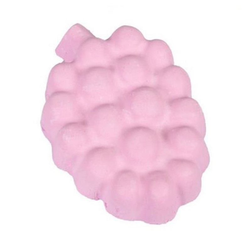 Karlie 60 Gr Çilekli Kemirme Taşı | Tavşam Kemirme Maması Karlie 60 Gr Çilekli Kemirme Taşı | Tavşam Kemirme Maması