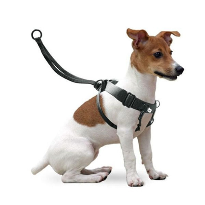 Karlie Easy Walker 22X32 Cm Göğüs Small | Köpek Göğüs Tasması Karlie Easy Walker 22X32 Cm Göğüs Small | Köpek Göğüs Tasması