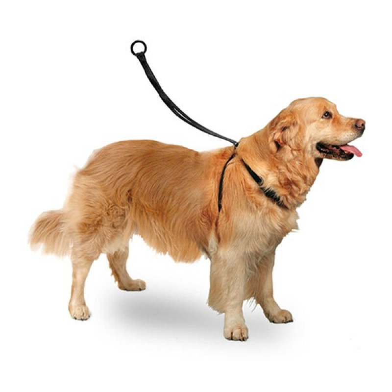 Karlie Easy Walker 40X58 Cm Göğüs Large | Köpek Göğüs Tasması Karlie Easy Walker 40X58 Cm Göğüs Large | Köpek Göğüs Tasması