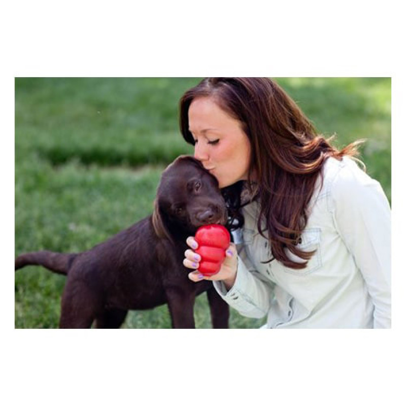 Kong Classic X-L 13 Cm | Kauçuk Ve Plastik Köpek Oyuncağı