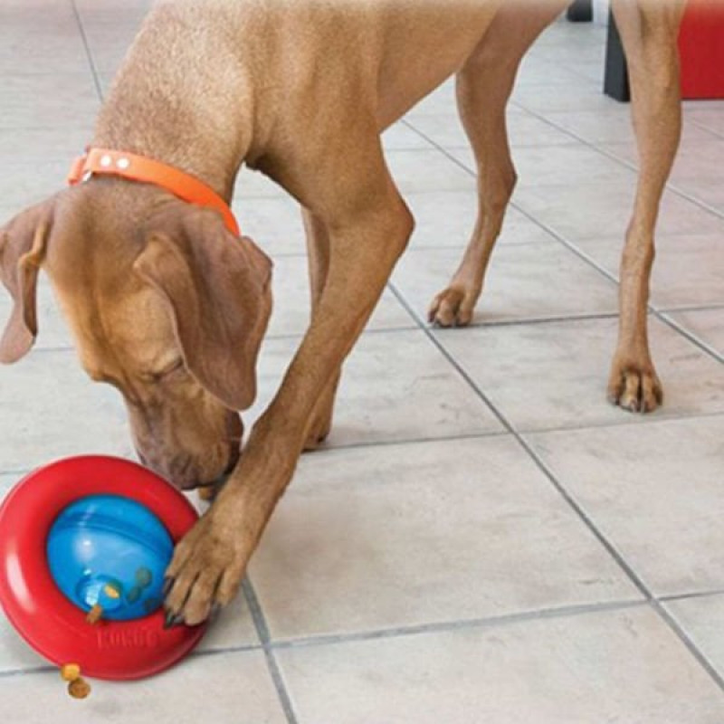 Kong Gyro Ödüllü İnteraktif Oyuncak L | Ödül Hazneli Köpek Oyuncağı