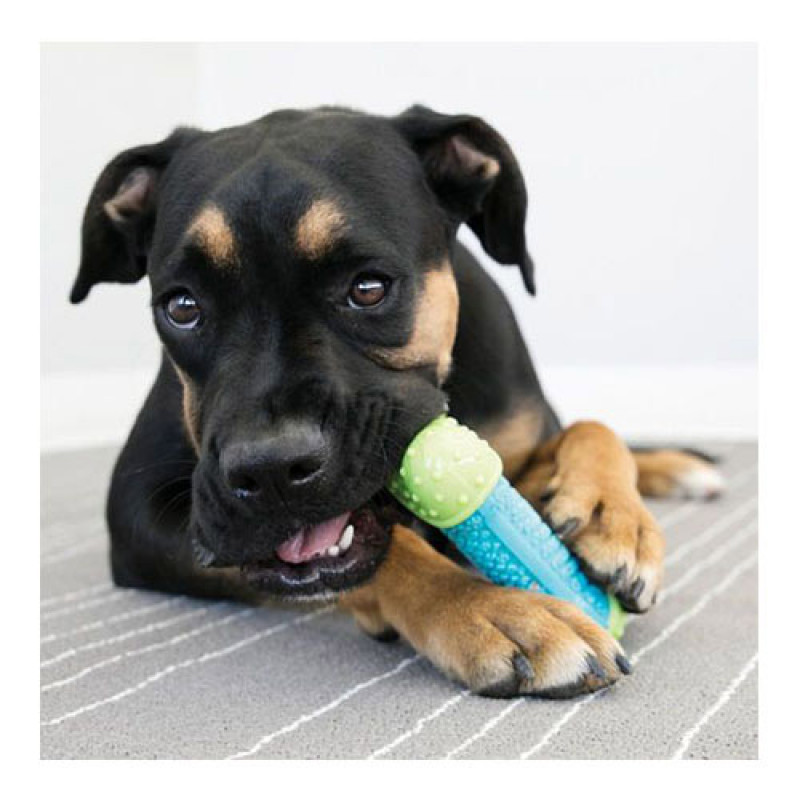 Kong Köpek Çiğneme Oyuncağı, Core Strength 17,5cm | Köpek Çiğneme