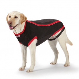 L Anksiyete Giderici Elbise | Köpek Kıyafeti L Anksiyete Giderici Elbise | Köpek Kıyafeti