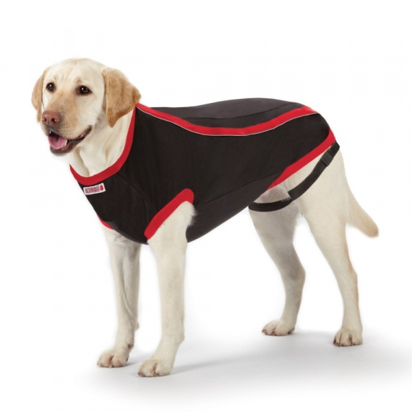 Kong L Anksiyete Giderici Elbise | Köpek Kıyafeti