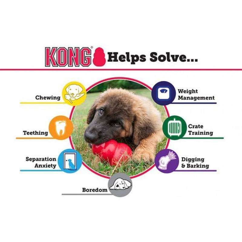 Kong L Puppy 10 Cm | Kauçuk Ve Plastik Köpek Oyuncağı