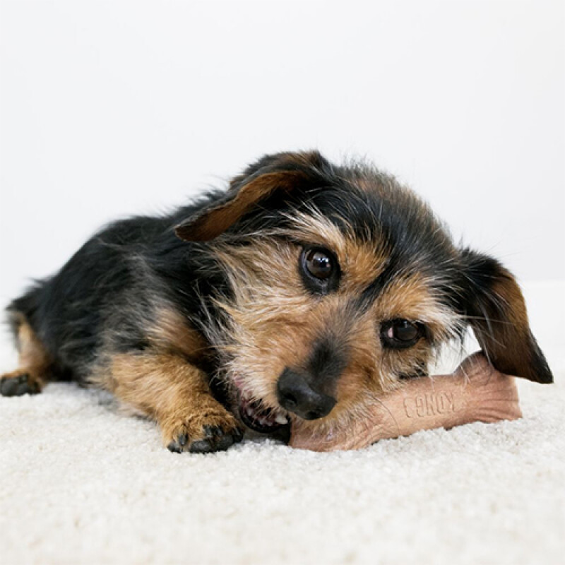 Kong M ChewStix Kemik | Kemik Şekilli Köpek Oyuncağı