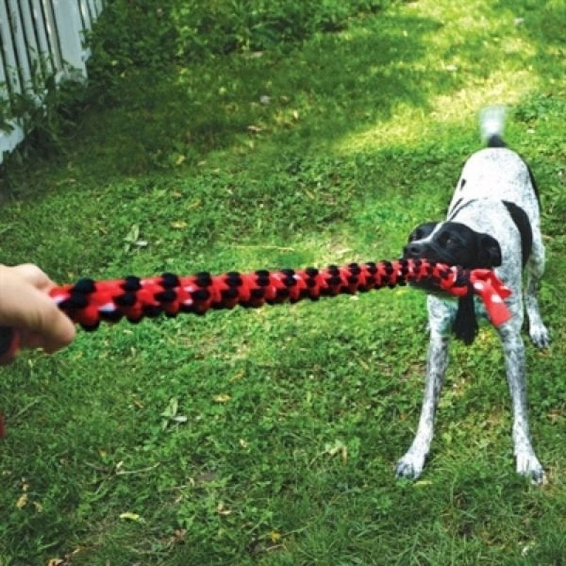 Kong Signature Rope 50 Cm Çift Düğümlü İp Köpek Oyuncağı 