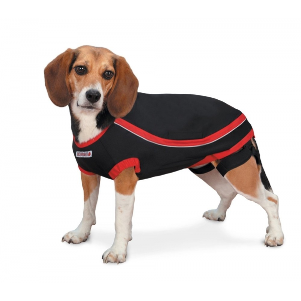 Kong XL Anksiyete Giderici Elbise | Köpek Kıyafeti