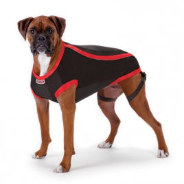 XXL Anksiyete Giderici Elbise | Köpek Kıyafeti XXL Anksiyete Giderici Elbise | Köpek Kıyafeti