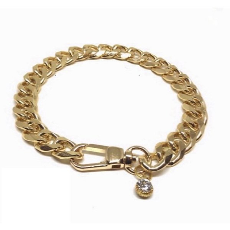 Lepus Xsmall Kalın Kolye Gold | Köpek Boyun Tasması Lepus Xsmall Kalın Kolye Gold | Köpek Boyun Tasması