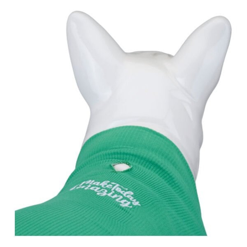 Lindo Dogs Beden 1 Make Today Amazing Tshirt Yeşil | Kedi Kıyafeti