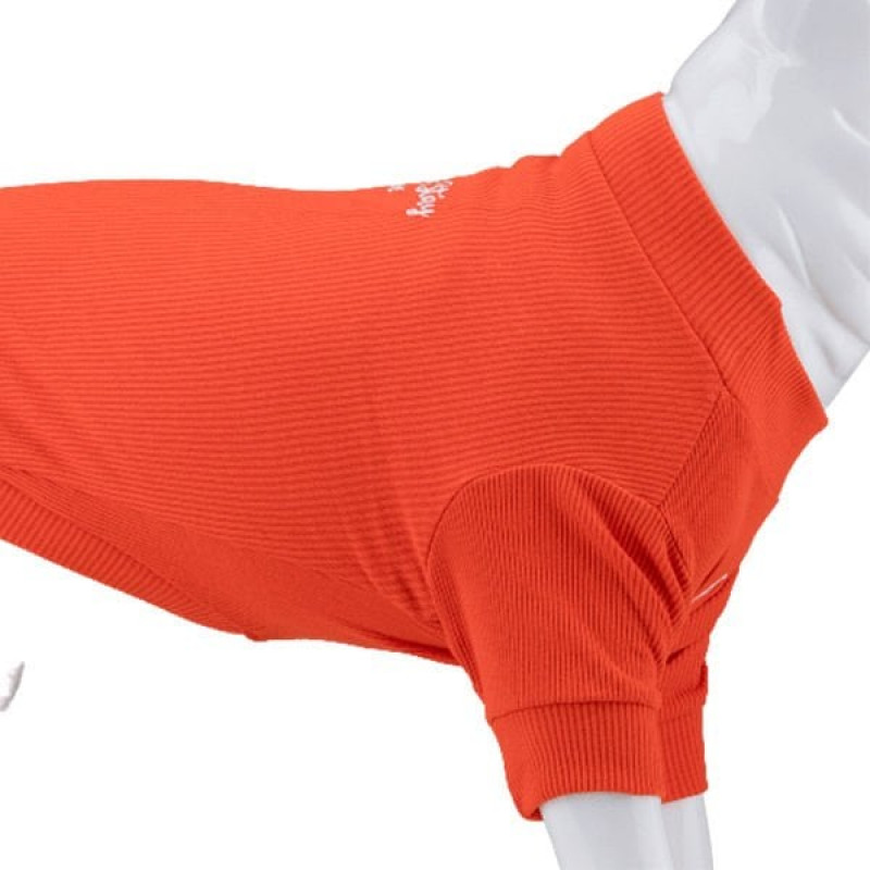 Lindo Dogs Beden 2 Always Stay Free Tshirt Turuncu | Köpek Kıyafeti