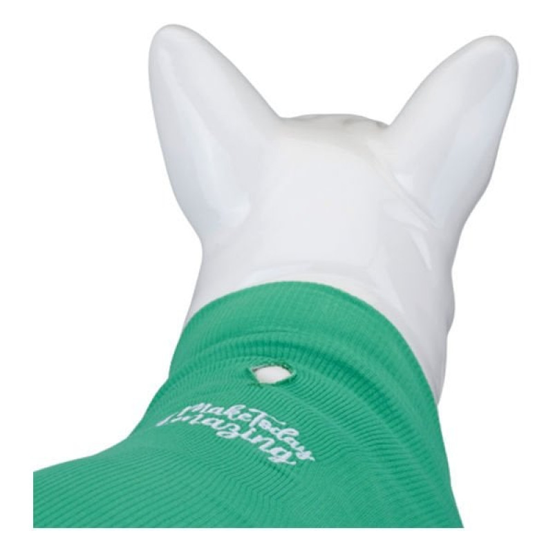 Lindo Dogs Beden 2 Make Today Amazing Tshirt Yeşil | Köpek Kıyafeti