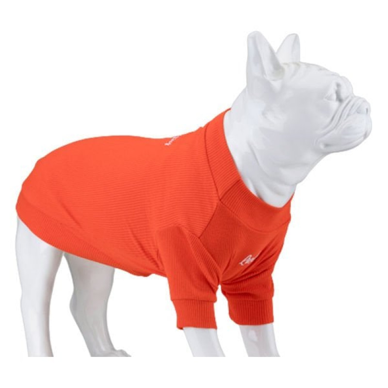 Lindo Dogs Beden 3 Always Stay Free Tshirt Turuncu | Köpek Kıyafeti Lindo Dogs Beden 3 Always Stay Free Tshirt Turuncu | Köpek Kıyafeti