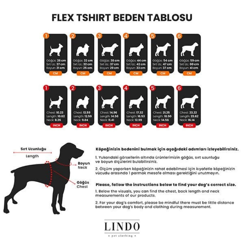 Lindo Dogs Beden 3 On The Clouds Tshirt Mavi | Köpek Kıyafeti