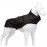 Lindo Dogs Beden 3 Softshell Black Skull Yağmurluk Siyah