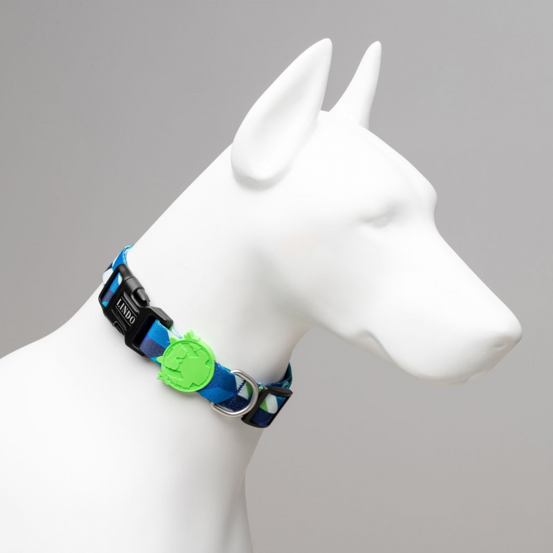 Lindo Dogs Blue Dream Köpek Boyun Tasması Mavi Medium