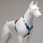 Lindo Dogs Breeze H Tipi Köpek Göğüs Tasması Mavi Small