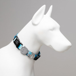 Breeze Köpek Boyun Tasması Beyaz/Mavi Medium