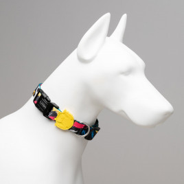 Enjoy Köpek Boyun Tasması Renkli Small