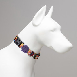 Ginger Man Köpek Boyun Tasması Turuncu Medium