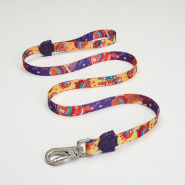 Ginger Man Köpek Gezdirme Kayışı Renkli Large