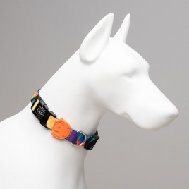 Ibiza Köpek Boyun Tasması Renkli Small