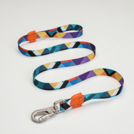 Ibiza Köpek Gezdirme Kayışı Renkli Large