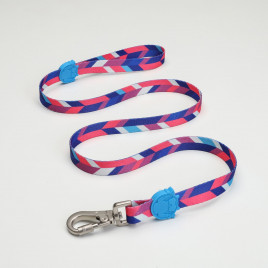 Pink Dream Köpek Gezdirme Kayışı Mavi/Pembe Small