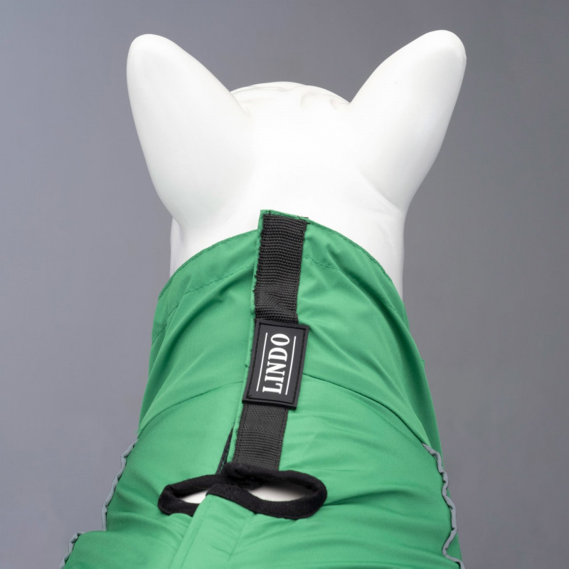 Lindo Dogs Quattro Nebula Köpek Yağmurluğu Yeşil Beden 6