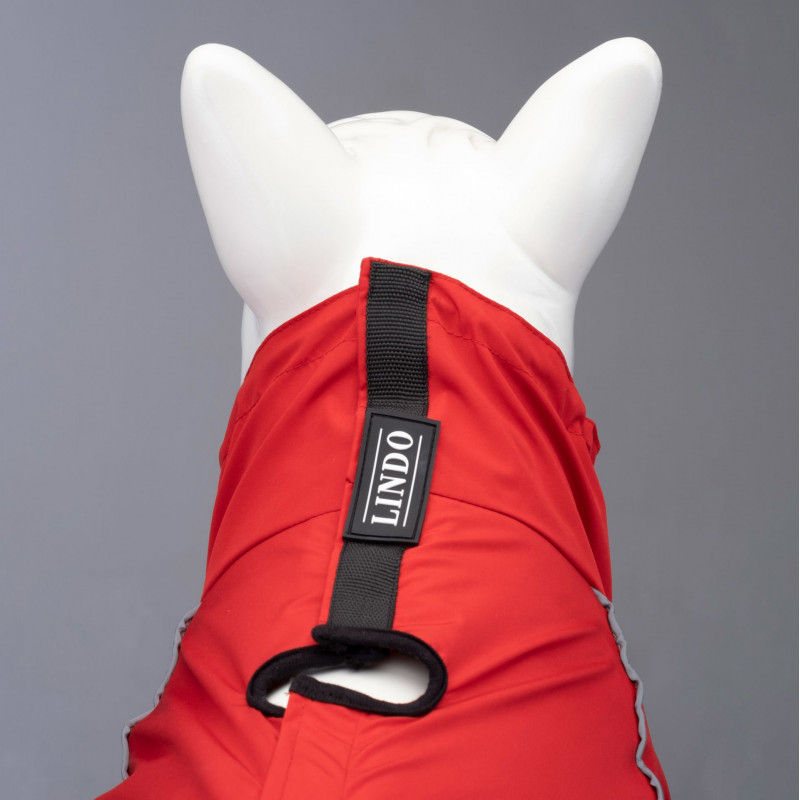 Lindo Dogs Quattro Nova Köpek Yağmurluğu Kırmızı Beden 7