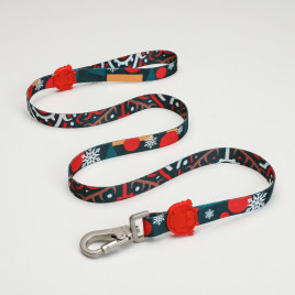 Reindeer Köpek Gezdirme Kayışı Kırmızı/Yeşil Tasması Small
