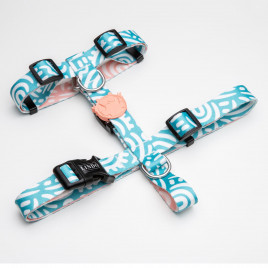 Touch H Tipi Köpek Göğüs Tasması Beden Beyaz/Mavi Small