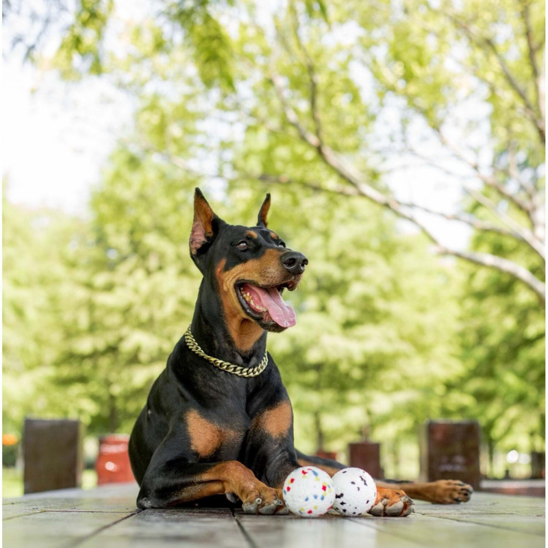 M-Pets Bloom Ball Parçalanmaz Top Köpek Oyuncağı 7 Cm Renkli