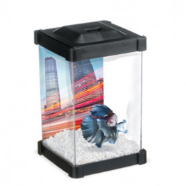 Marina 1,25 Lt Betta Seti Tower | Tatlı Su Akvaryumu Marina 1,25 Lt Betta Seti Tower | Tatlı Su Akvaryumu