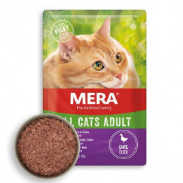85 Gr Tahılsız Ördekli Pouch Yetişkin Kedi Maması 