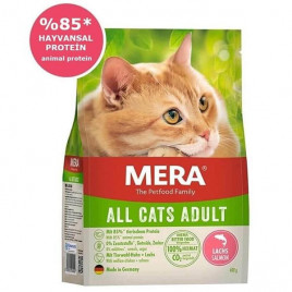 Adult 10 Kg Tahılsız Somonlu Yetişkin Kedi Maması 