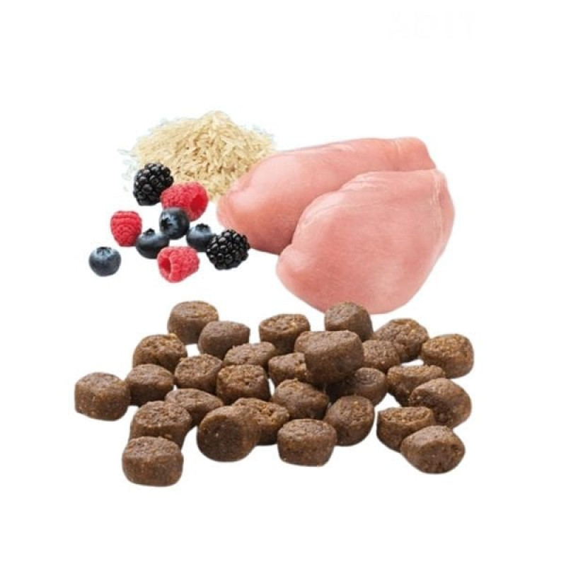 Mera Finest Fit Kitten 10 Kg Tavuklu Yavru Kedi Maması 