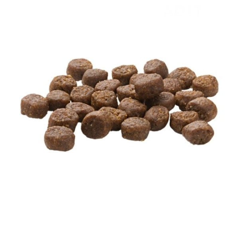 Mera Finest Fit Kitten 10 Kg Tavuklu Yavru Kedi Maması 