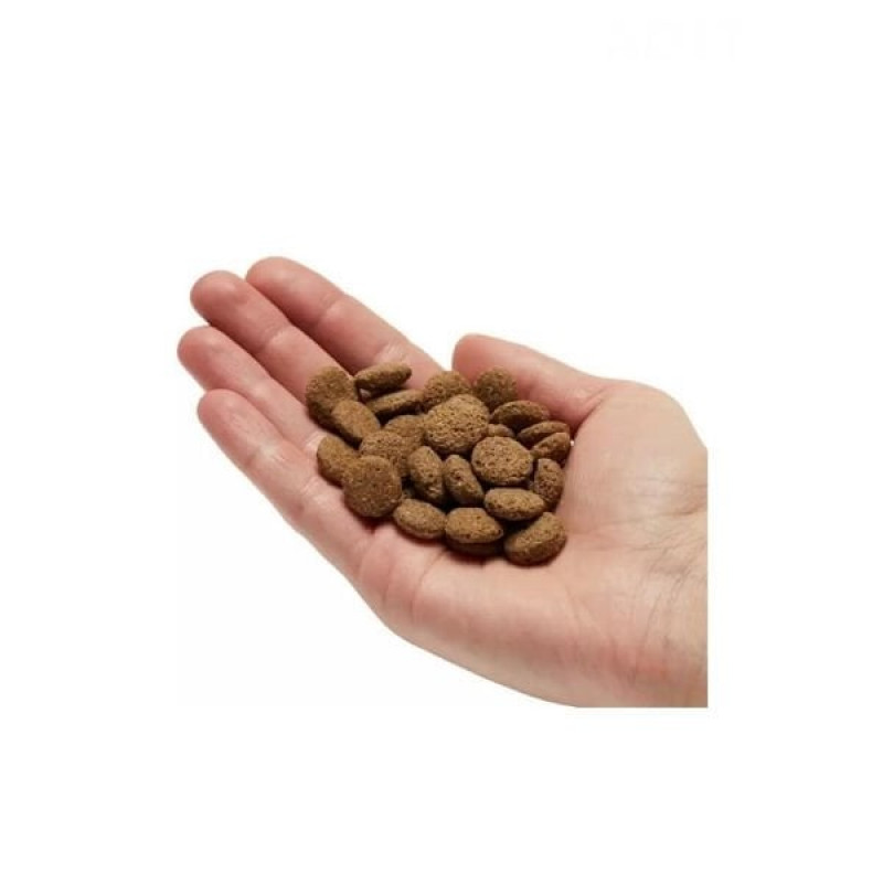 Mera Pure Sensitive 4 Kg Somonlu Yetişkin Köpek Maması 